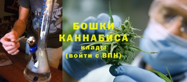 spice Аркадак