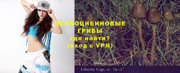 а пвп мука Армянск
