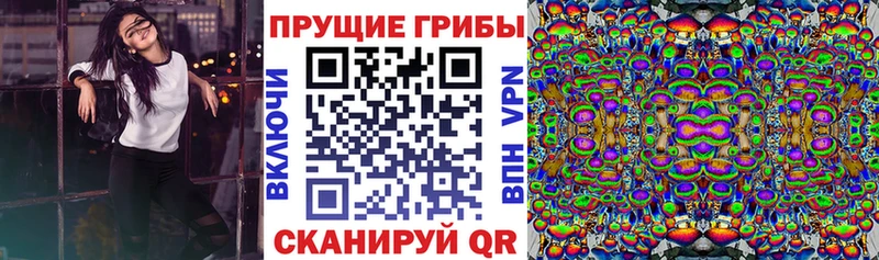 Псилоцибиновые грибы Magic Shrooms  Спас-Деменск 